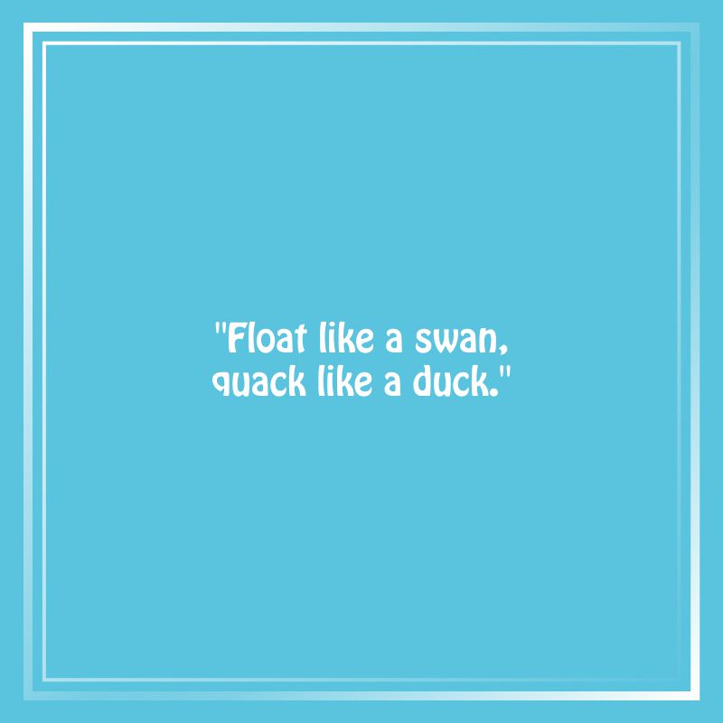 Quack Up with Swan-did Humor: Puns, Jokes, Quotes, and More! - Punopolis